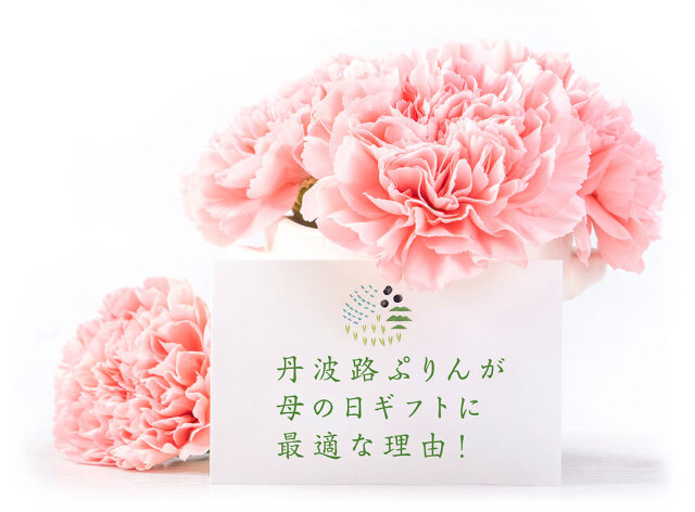 丹波路ぷりんが母の日ギフトに最適な理由！