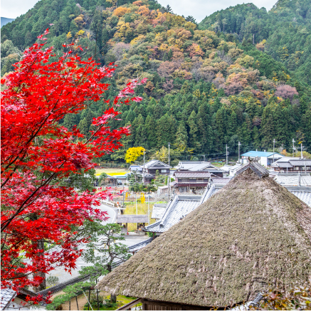 ささらい周辺風景